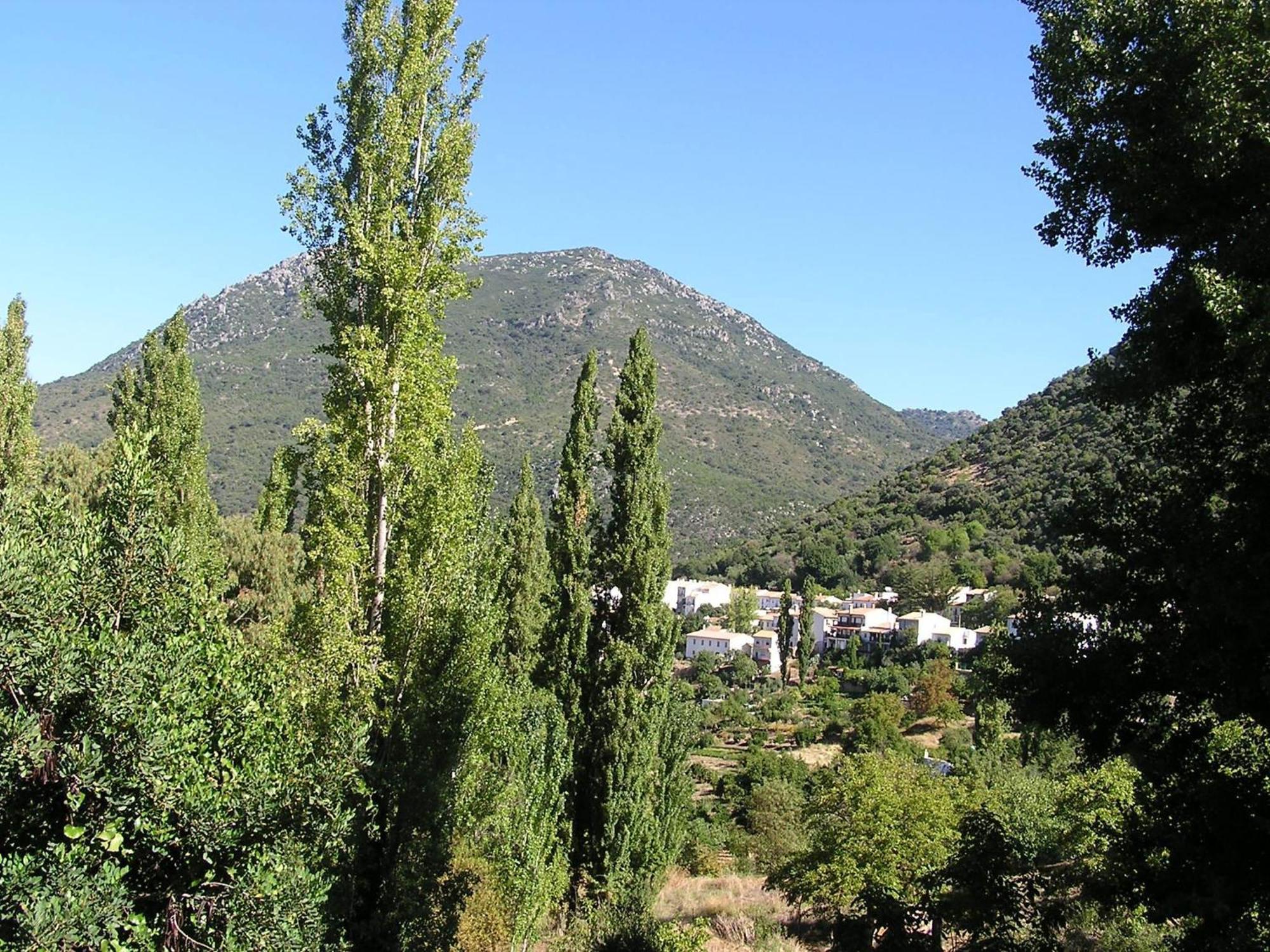 Ferienwohnung Napaimbe Sierra Benamahoma Exterior foto